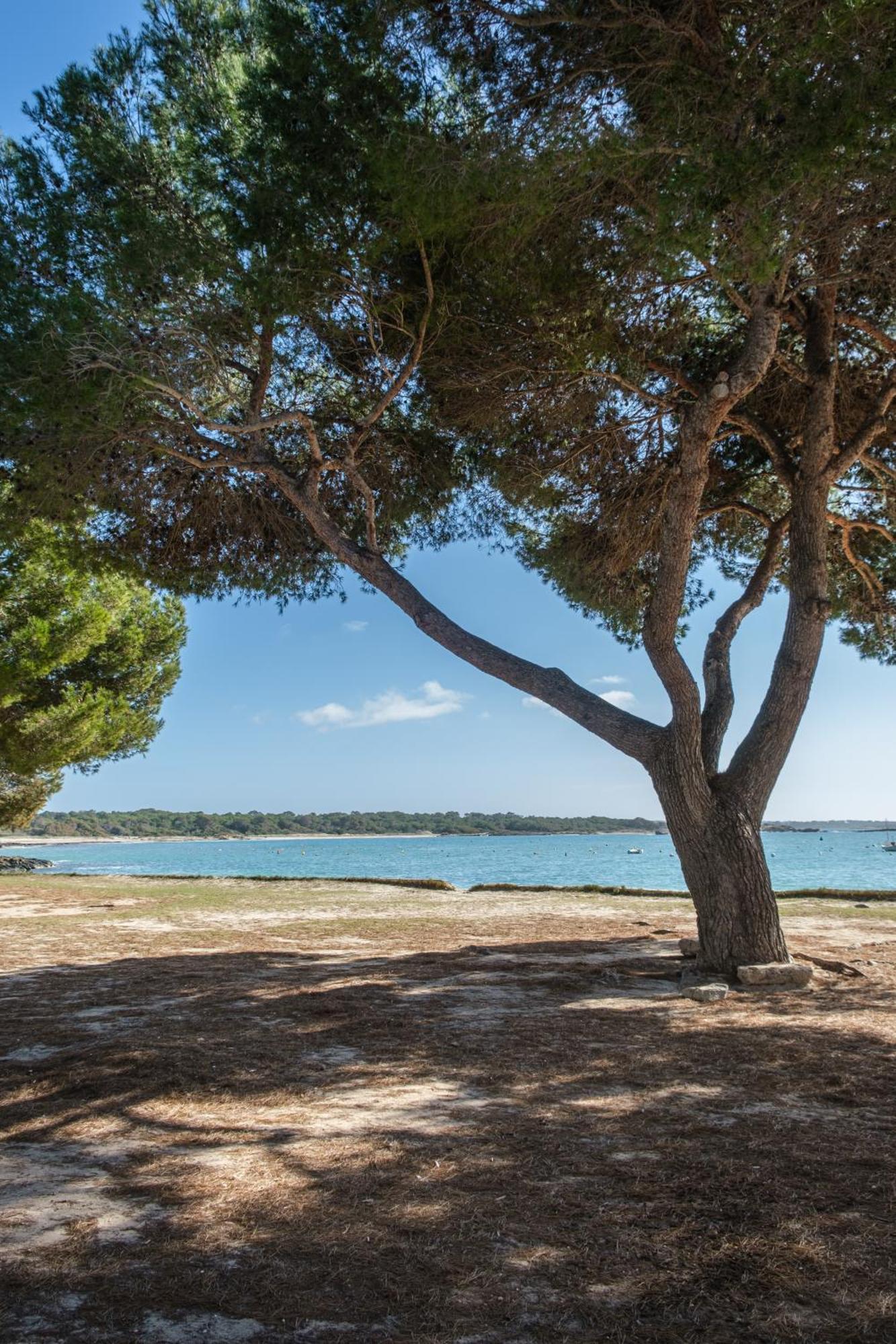 Alma Libre Beach Apartment Colonia de Sant Jordi Exterior photo